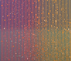 According to the Laws of Chance: Arp 1918.